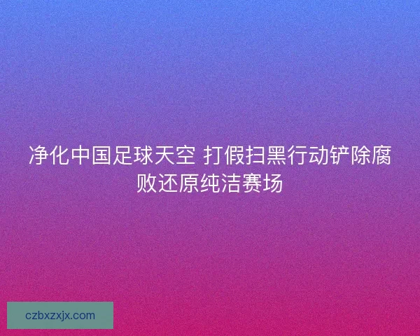 净化中国足球天空 打假扫黑行动铲除腐败还原纯洁赛场